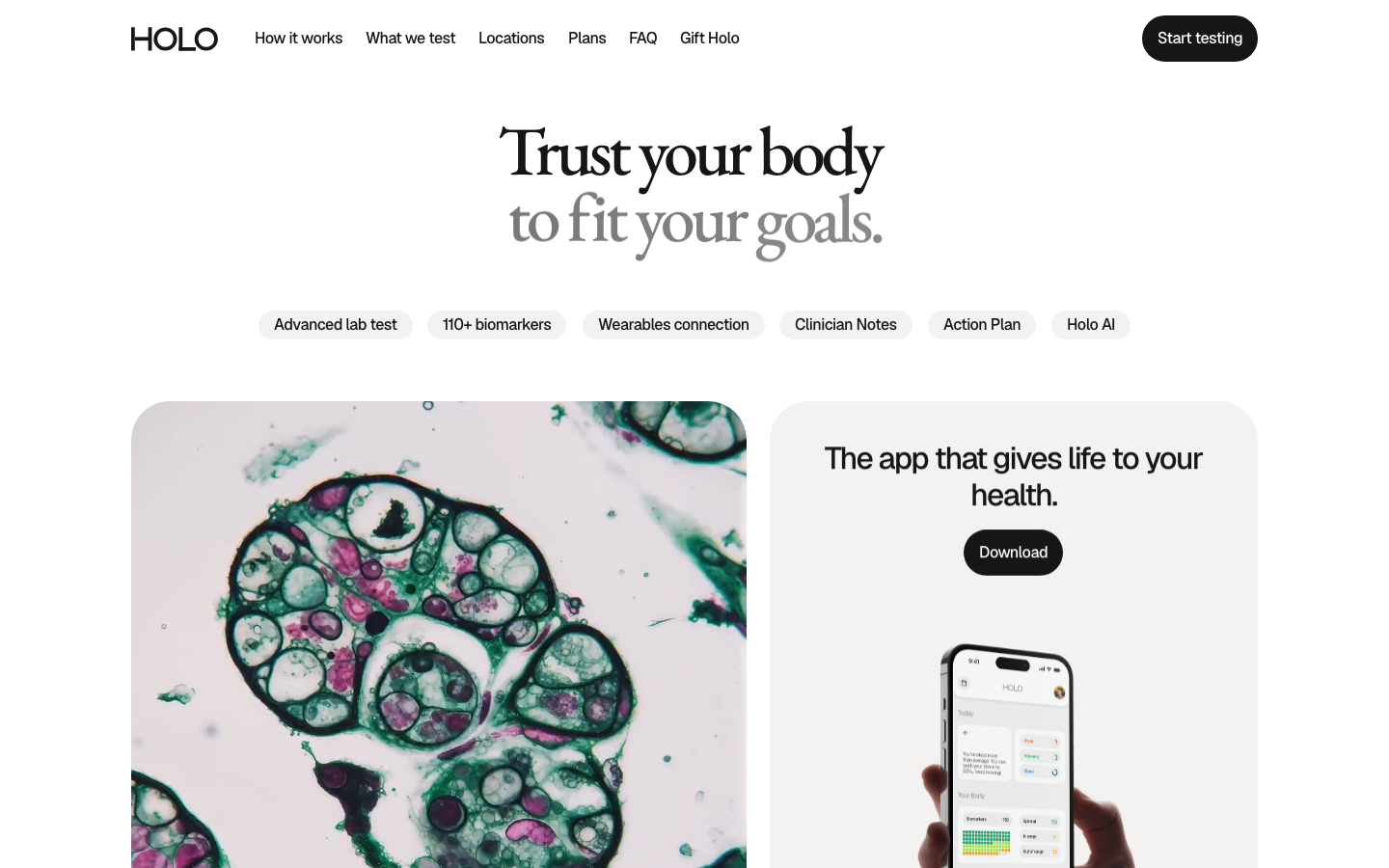 Personal wellness companion landing page screenshot